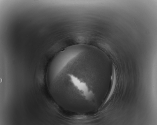 X0000088390266200705291414