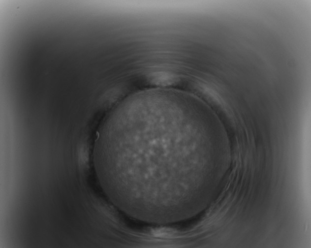 X0000088390268200705291414