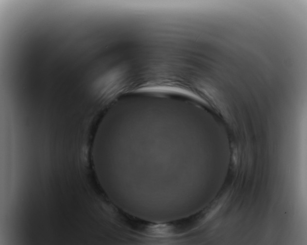 X0000088390269200705291414