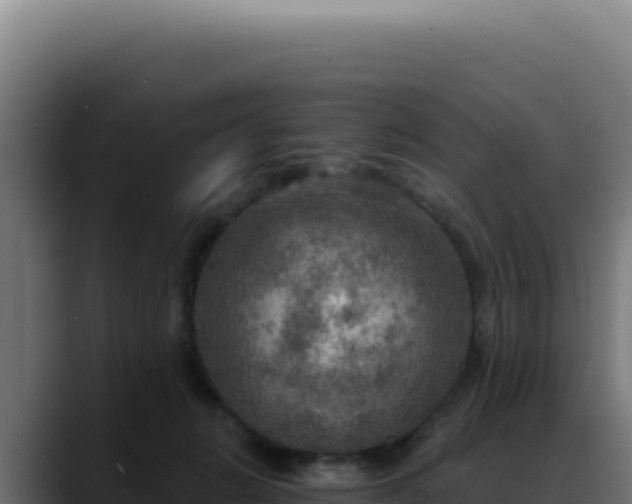 X0000088390270200705291414