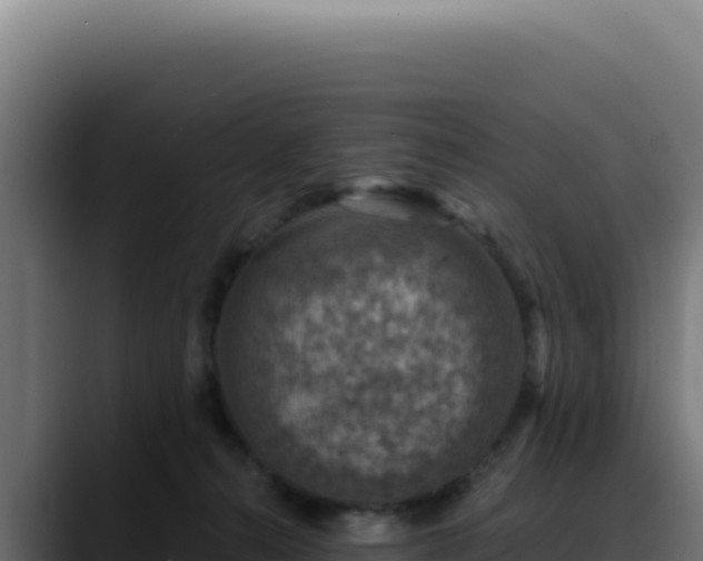 X0000088390272200705291414