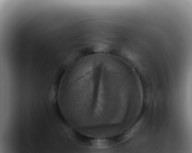 X0000088390273200705291414