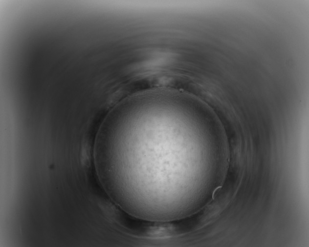 X0000088390274200705291414