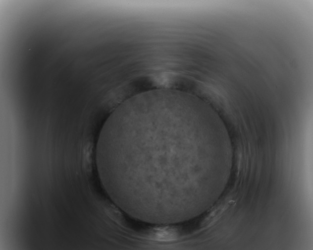 X0000088390275200705291414