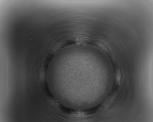 X0000088390276200705291414