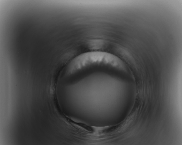 X0000088390277200705291414