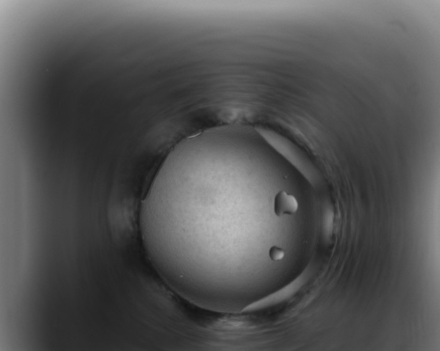 X0000088390280200705291414