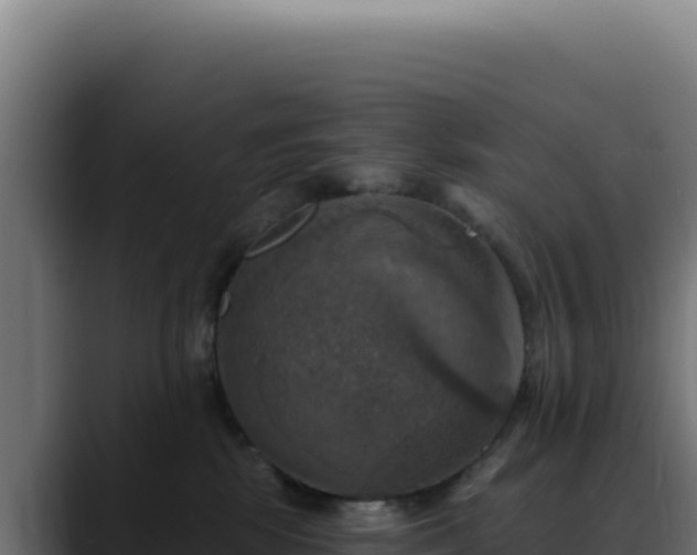 X0000088390281200705291414