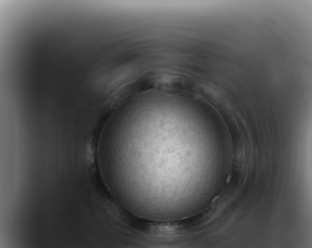 X0000088390282200705291414