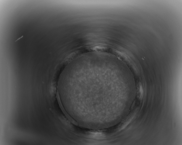 X0000088390284200705291414