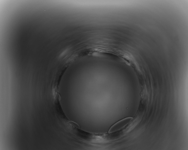 X0000088390285200705291414