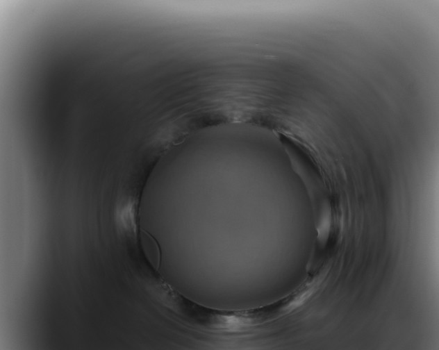 X0000088390286200705291414