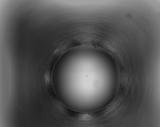 X0000088390287200705291414