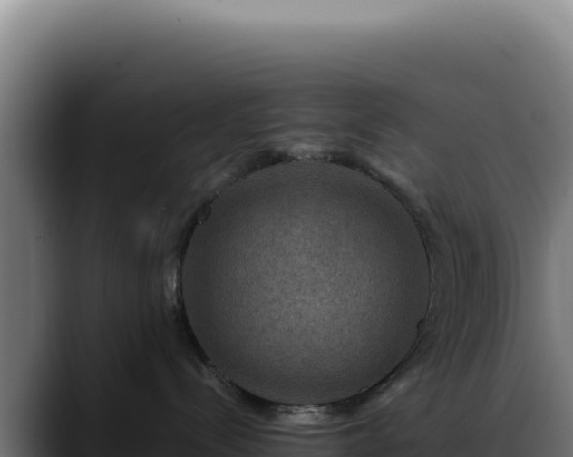 X0000088390288200705291414