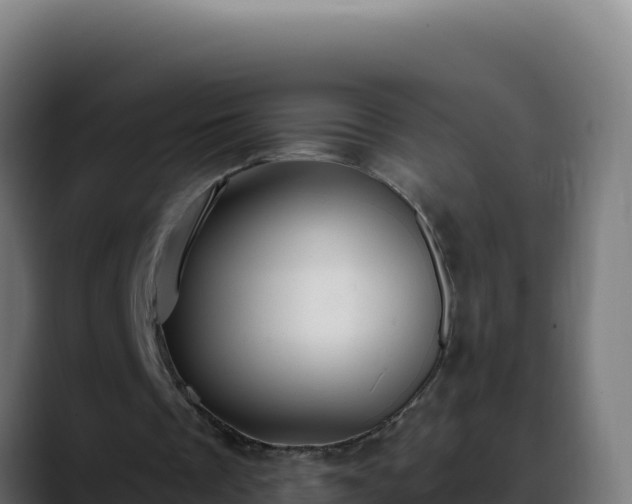 X0000088390289200705291414