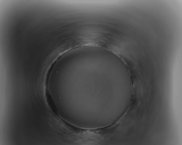 X0000088390290200705291414