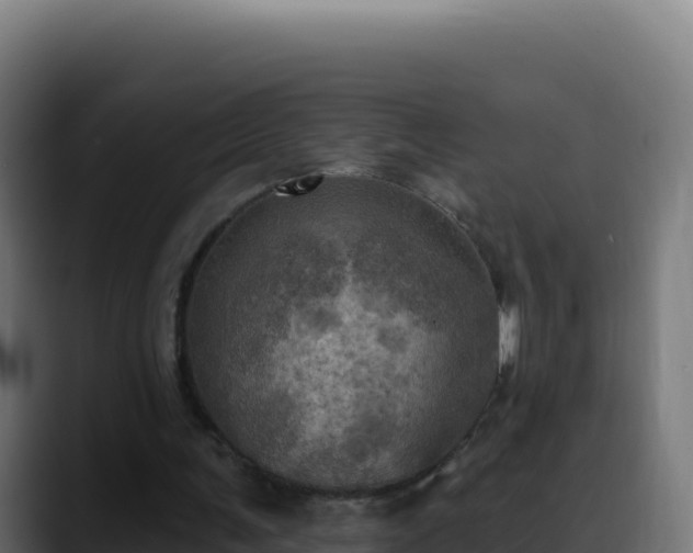 X0000088390291200705291414