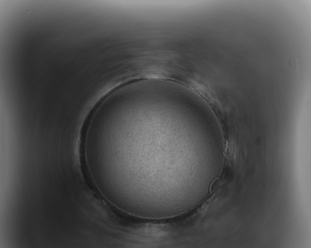 X0000088390292200705291414