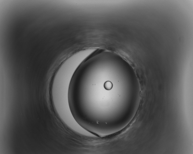 X0000088390293200705291414