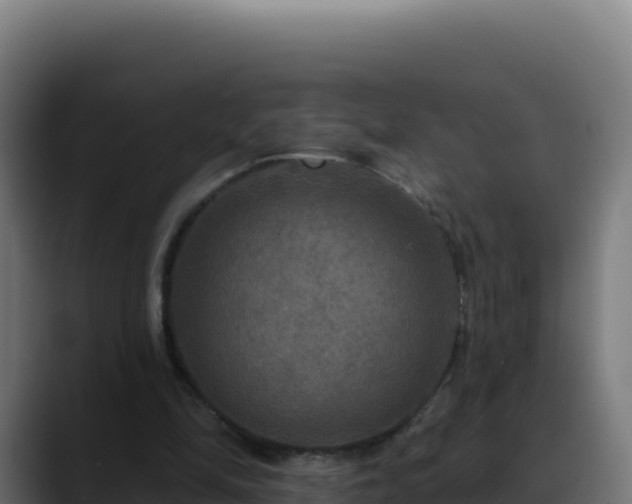 X0000088390294200705291414