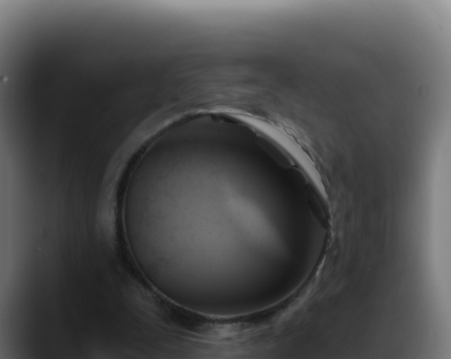 X0000088390295200705291414