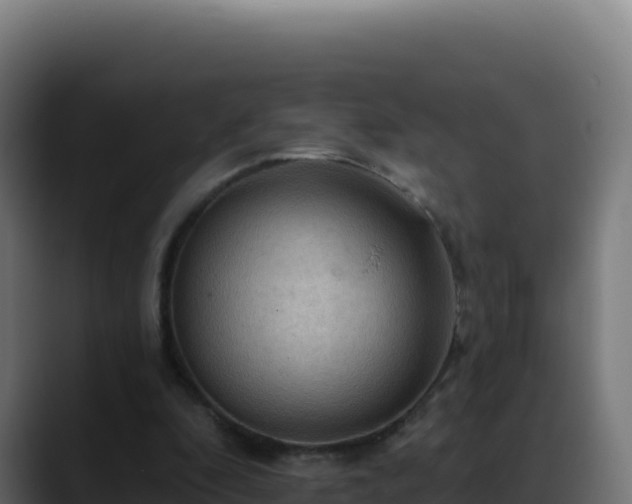 X0000088390296200705291414