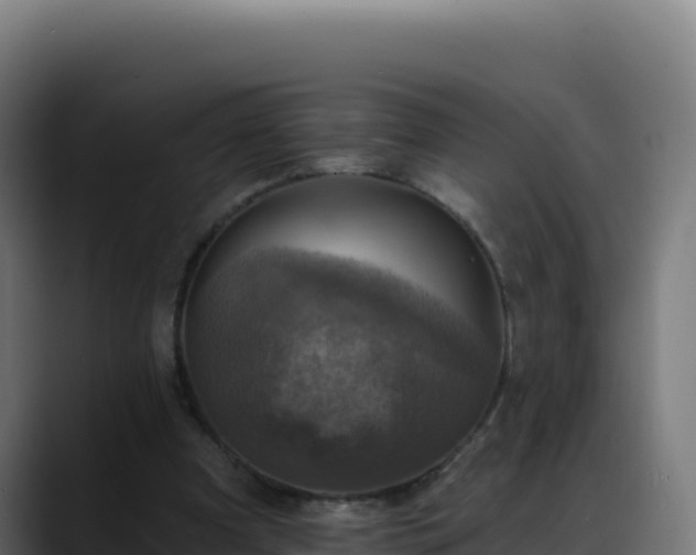 X0000088390297200705291414