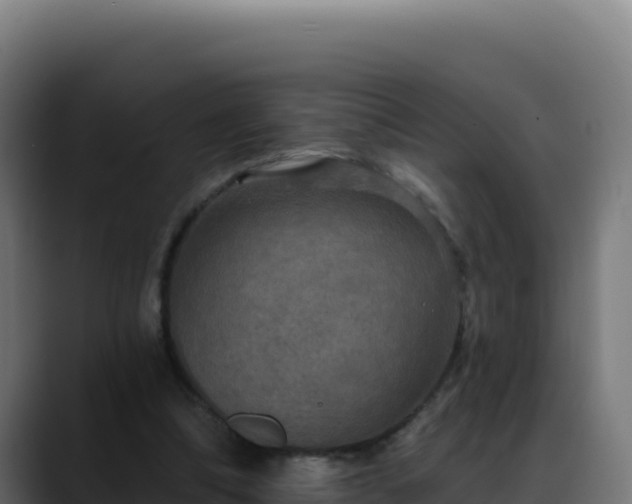 X0000088390298200705291414