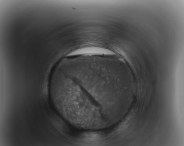 X0000088390299200705291414