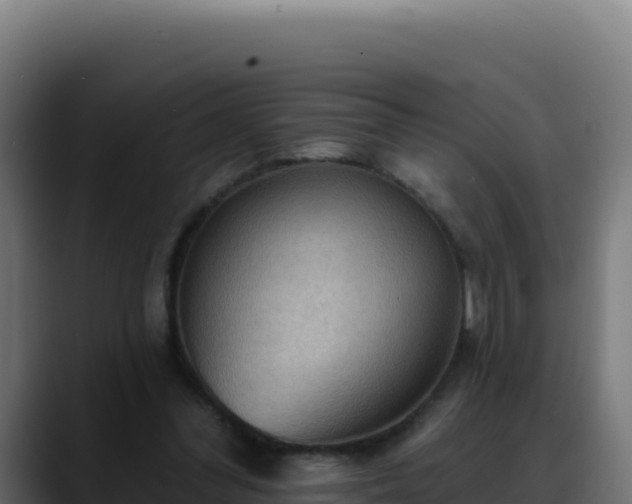 X0000088390300200705291414