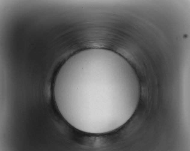 X0000088390302200705291414