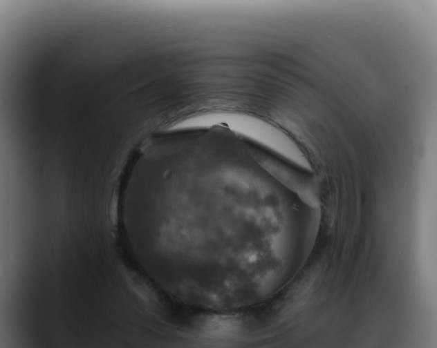 X0000088390303200705291414