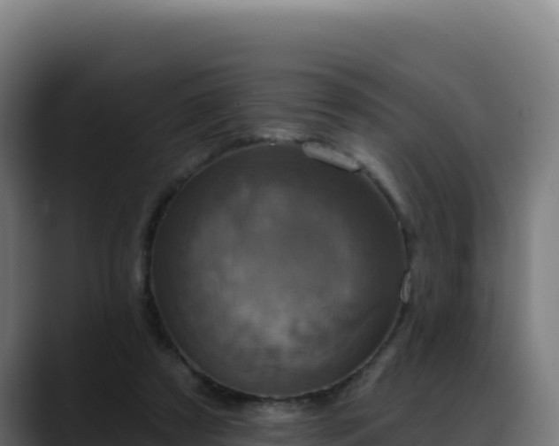 X0000088390305200705291414