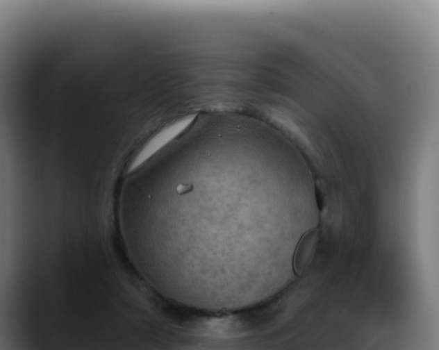 X0000088390306200705291414