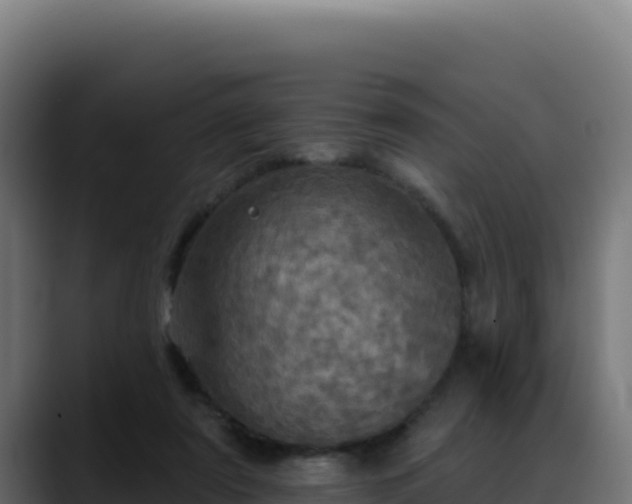 X0000088390307200705291414