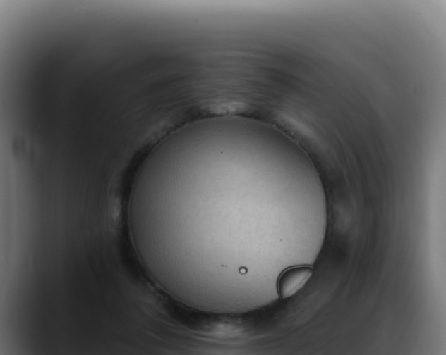 X0000088390308200705291414