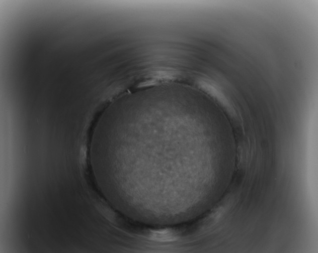 X0000088390309200705291414