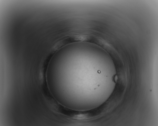 X0000088390312200705291413