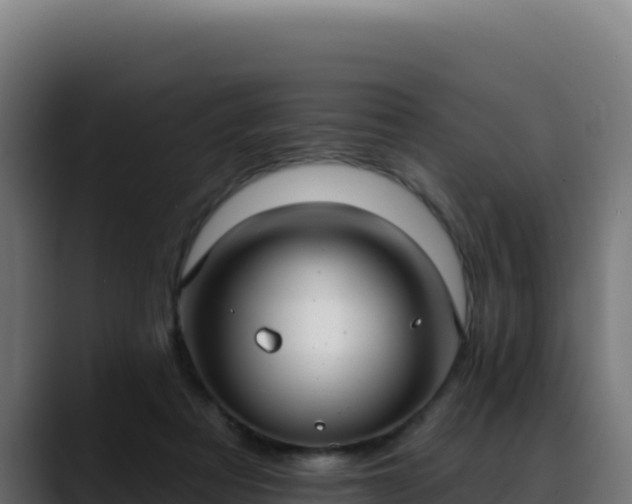 X0000088390313200705291413