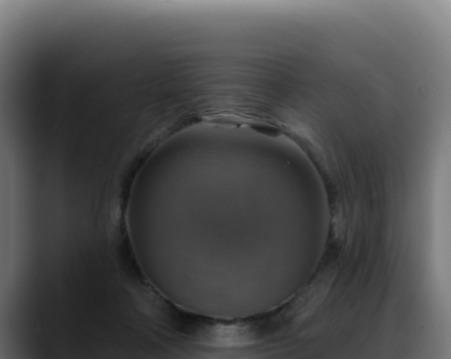 X0000088390314200705291413