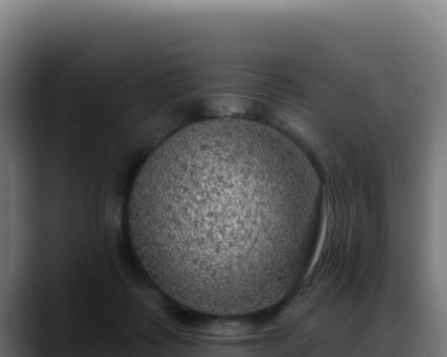 X0000088390315200705291413