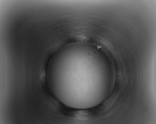 X0000088390320200705291413