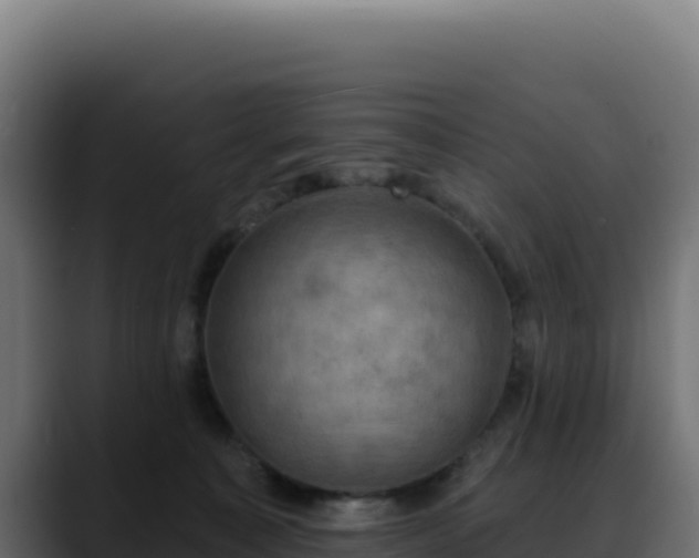 X0000088390323200705291413