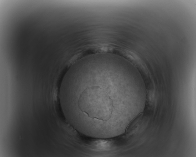 X0000088390326200705291413