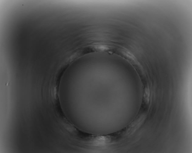 X0000088390330200705291413