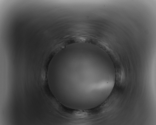 X0000088390331200705291413