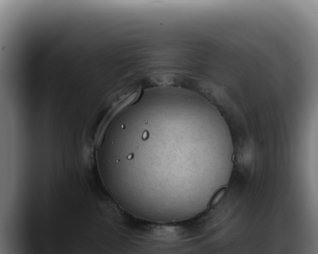 X0000088390332200705291413