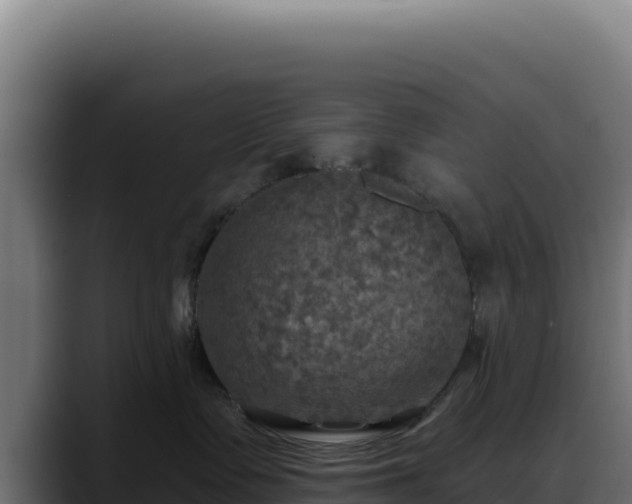 X0000088390335200705291413