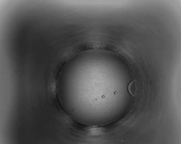 X0000088390336200705291413