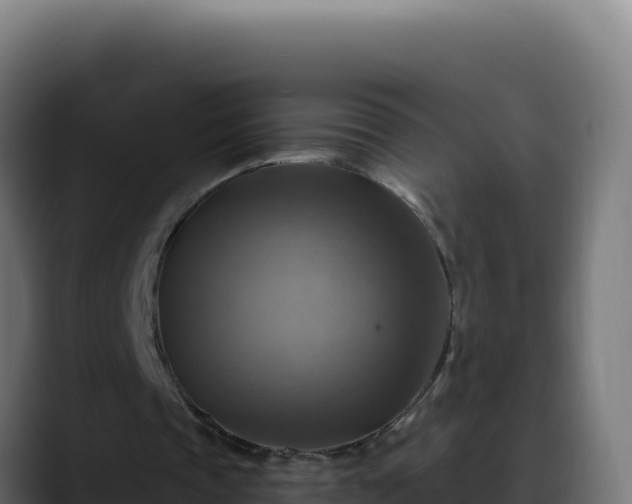 X0000088390337200705291413